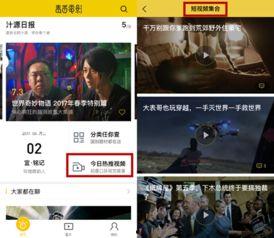 介绍电影的短视频,短视频带你领略电影魅力