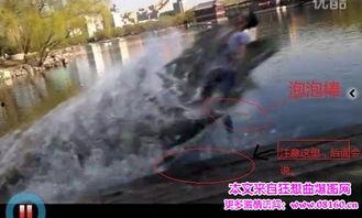 被鳄鱼吃的女人视频,鳄鱼吞噬女子现场惊悚瞬间