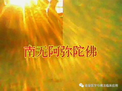 动功视频,揭秘运动之美与健身奥秘