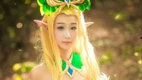 精灵视频,探寻奇幻世界的奇妙之旅