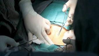 生宝宝相关视频,揭秘生宝宝全过程视频解析