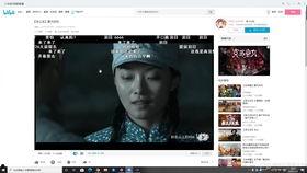 播放日b视频,探索b视频播放日背后的精彩瞬间