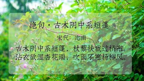 古诗绝句朗诵视频,绝句传情——朗诵视频赏析