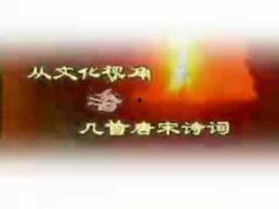 宋词讲座视频,穿越千年的情感共鸣