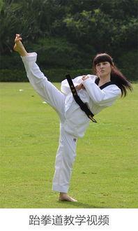 跆拳道7章教学视频,教学视频精华解析