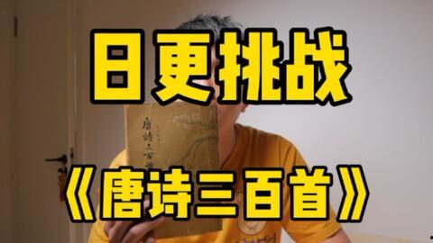 诗日天视频,探寻诗意生活的光影之旅