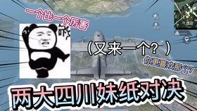 巴黎姐姐飞机视频,空中奇遇记